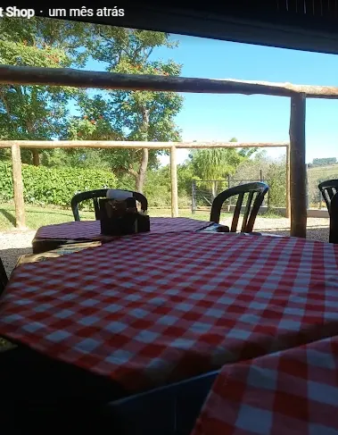 Mesa com vista para natureza